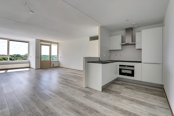 Foto 6 van Veldzuring 127