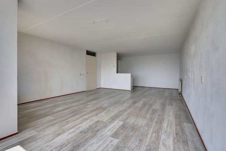 Foto 7 van Veldzuring 127