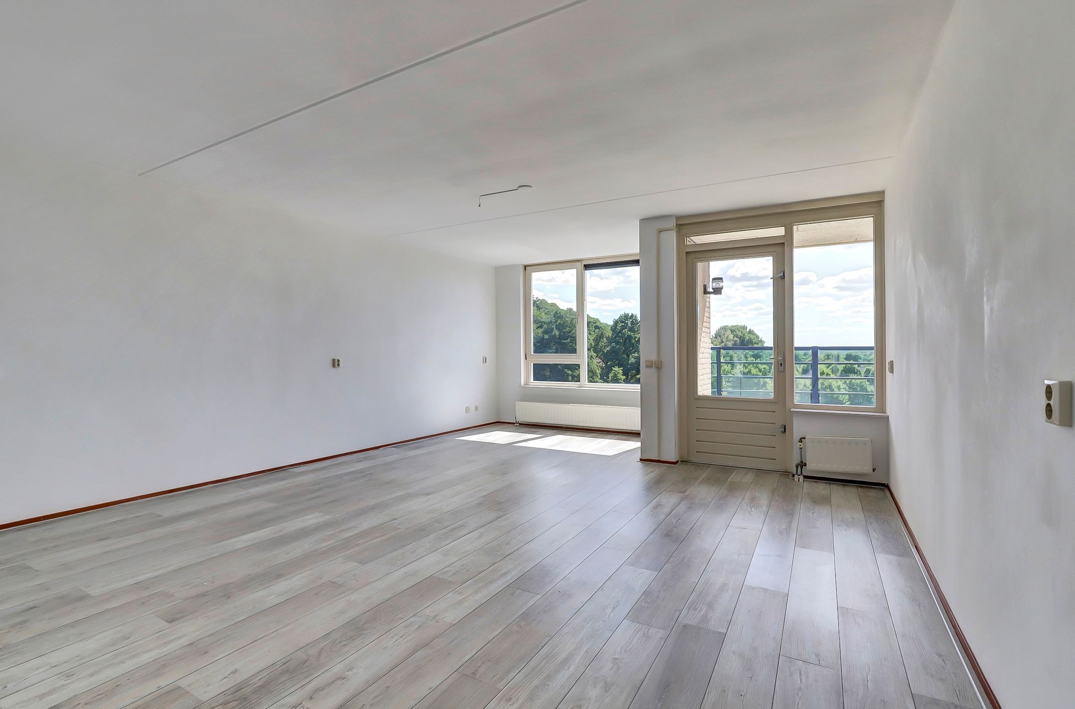 Foto 9 van Veldzuring 127