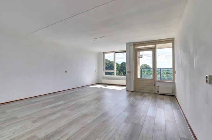 Foto 9 van Veldzuring 127