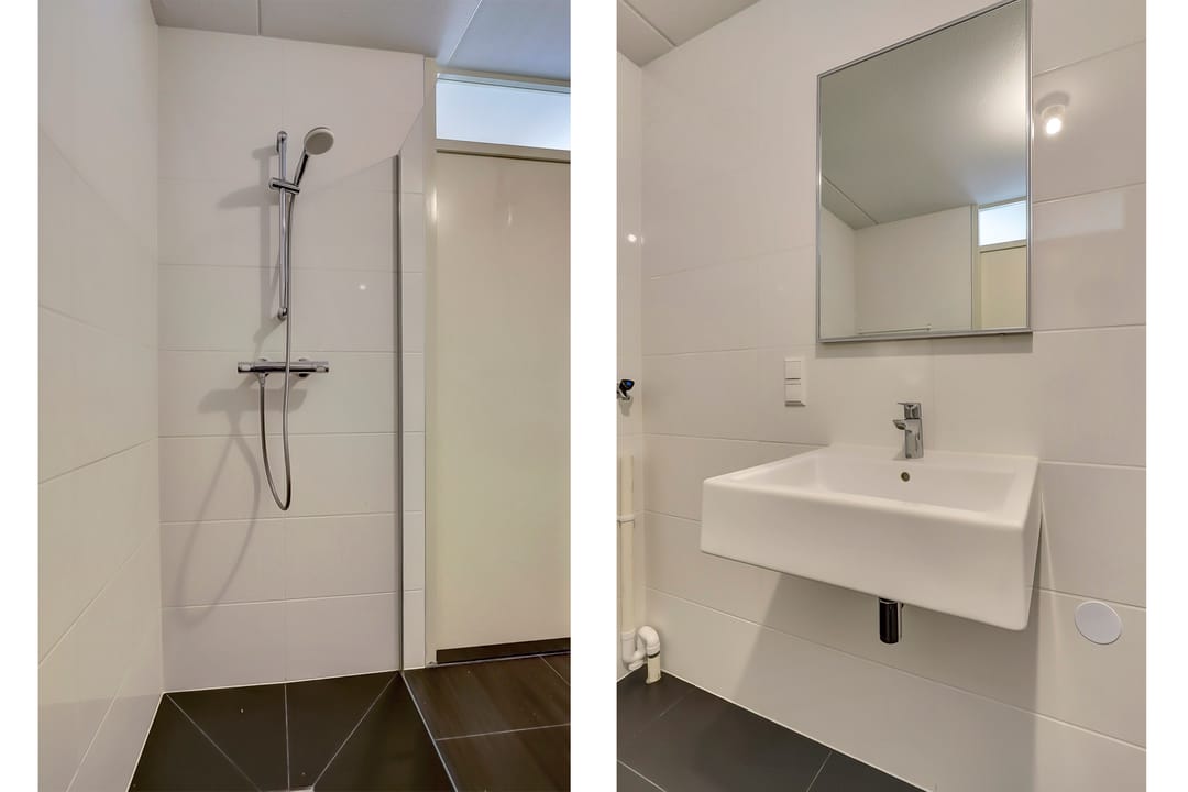 Foto 11 van Veldzuring 127