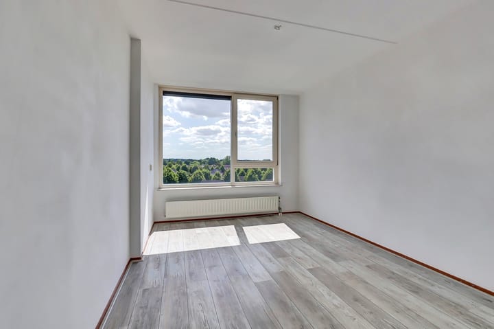 Foto 13 van Veldzuring 127