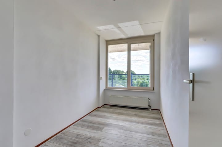 Foto 14 van Veldzuring 127