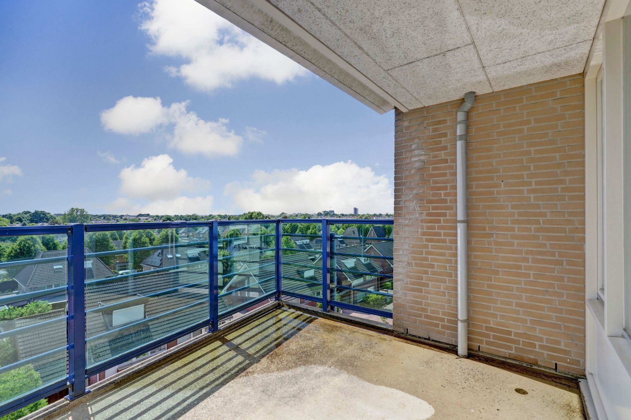 Foto 15 van Veldzuring 127