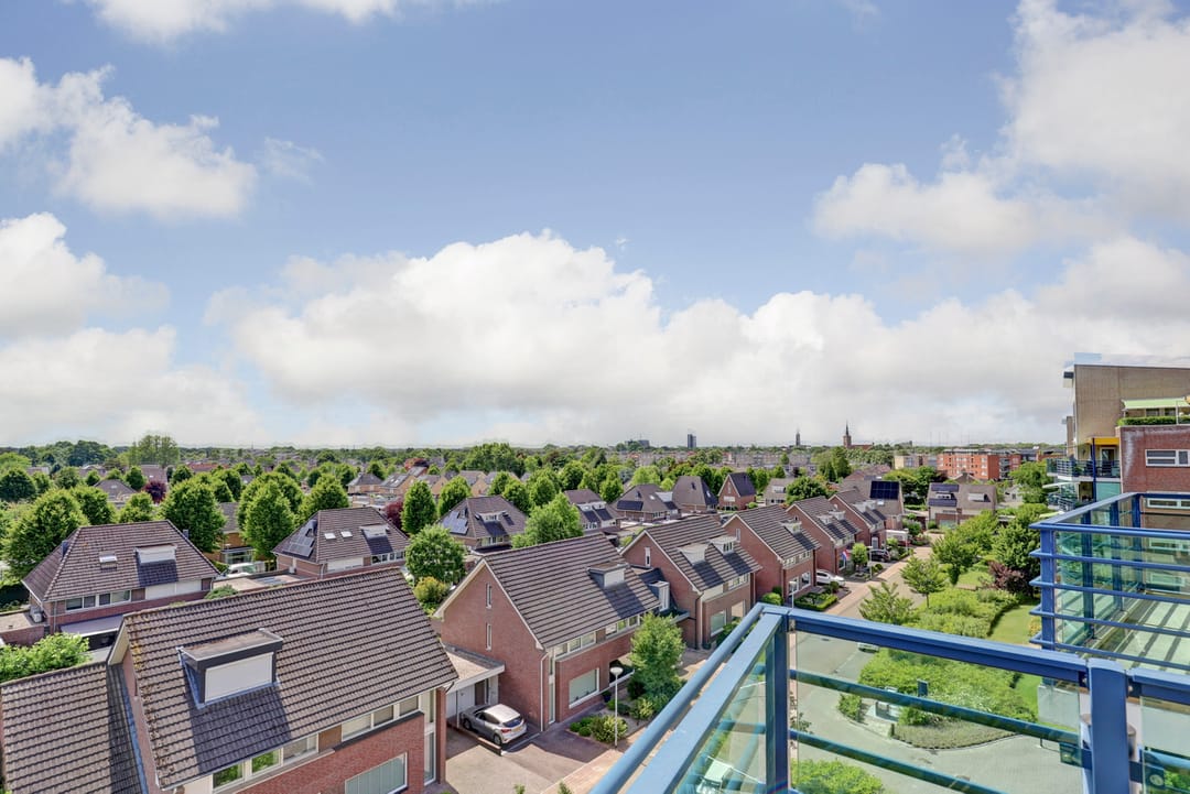 Foto 16 van Veldzuring 127