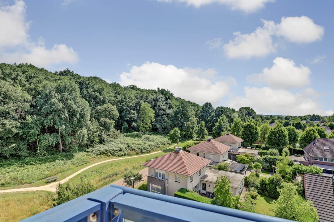 Foto 17 van Veldzuring 127