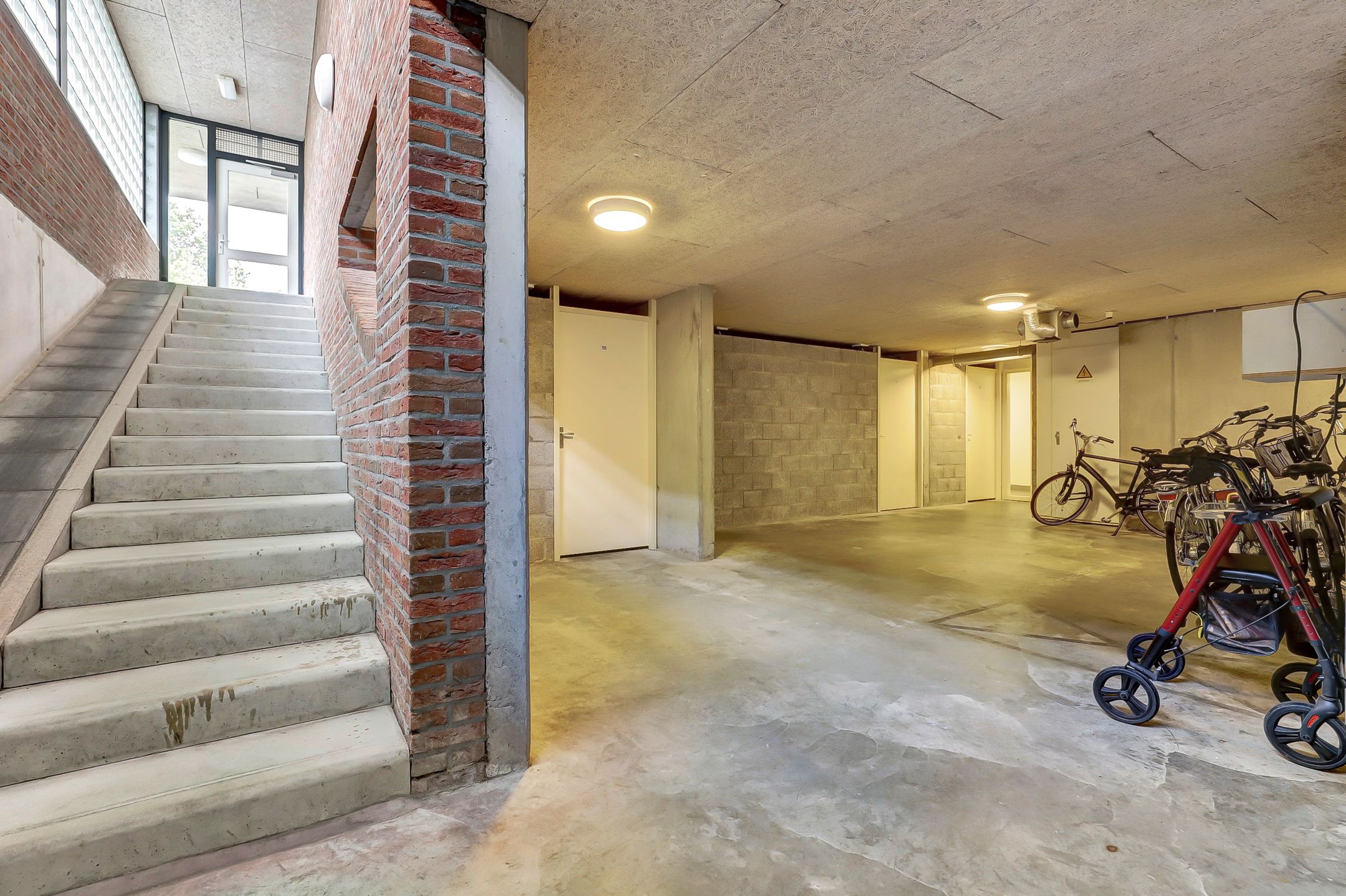 Foto 18 van Veldzuring 127