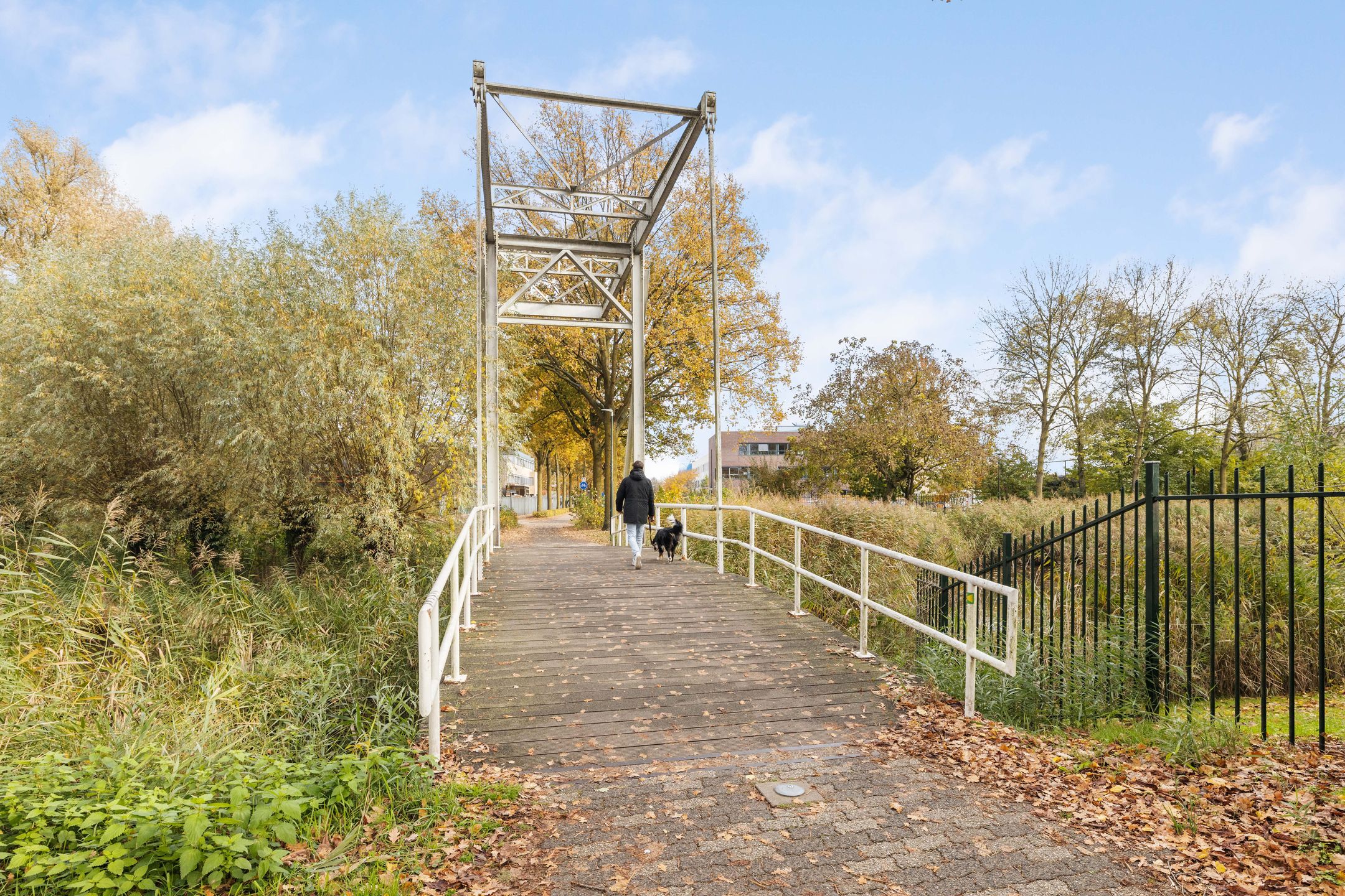 Photo 48 of Druivelaar 2