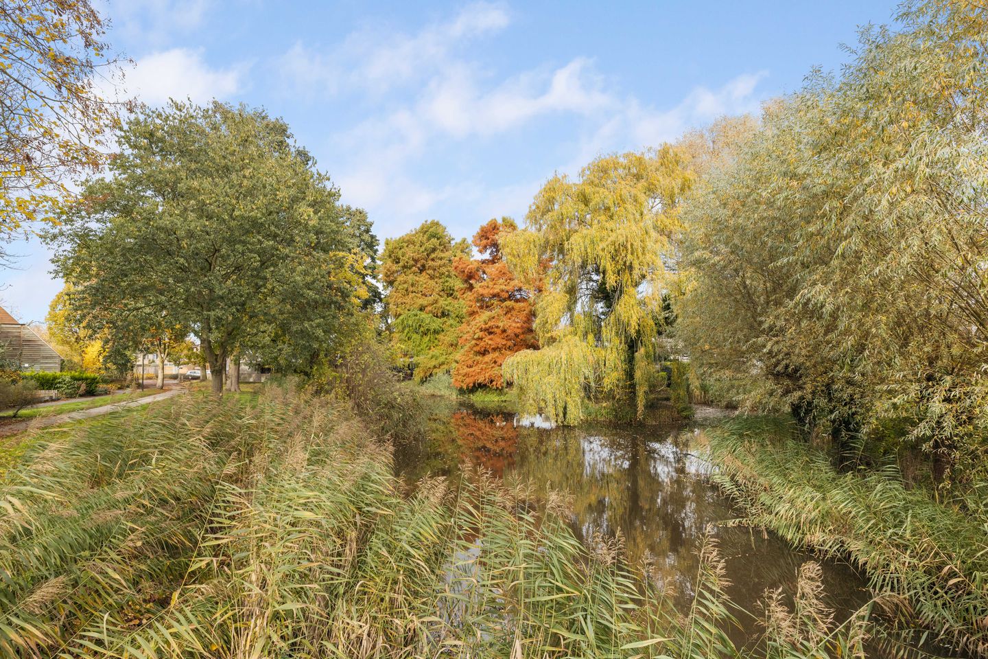 Photo 49 of Druivelaar 2