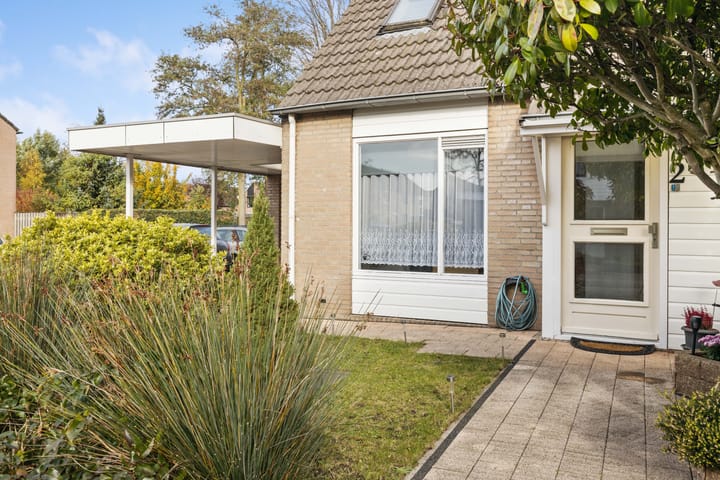 Foto 41 van Druivelaar 2