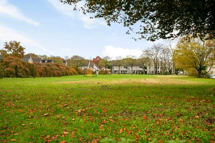 Foto 42 van Mr. Gerbrandypark 46