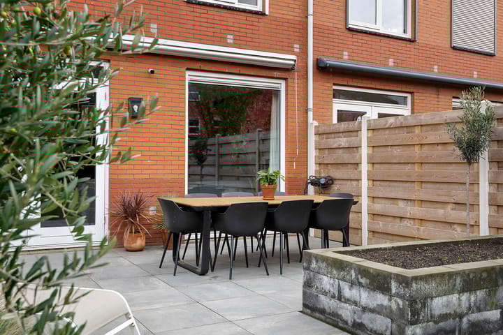 Photo 16 of Dikkertje Dap 46