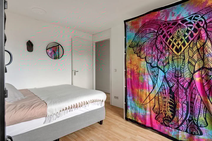 Photo 31 of Dikkertje Dap 46