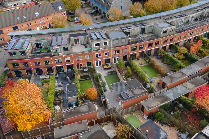 Photo 35 of Dikkertje Dap 46