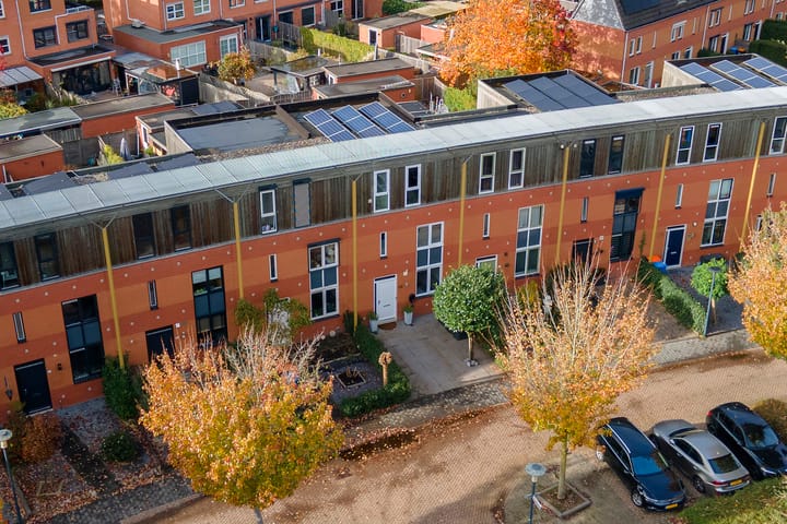 Photo 36 of Dikkertje Dap 46