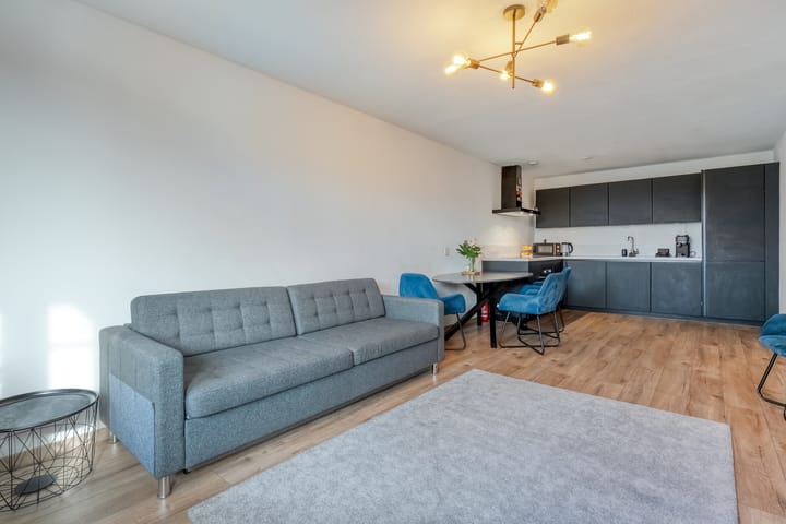 Foto 6 van de Swaenenborgh 47