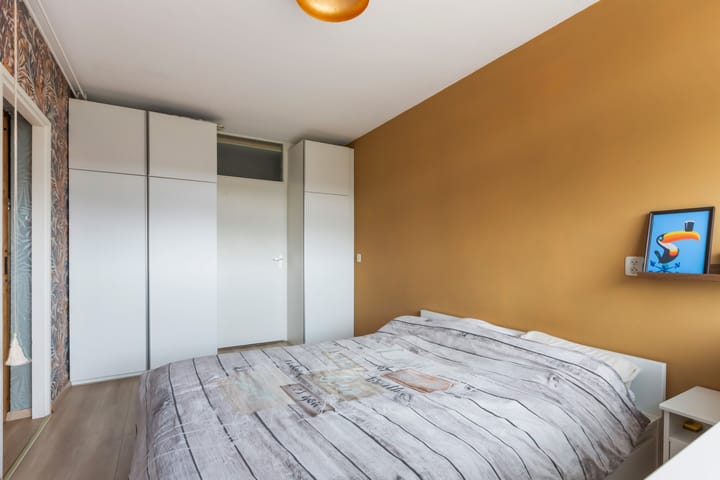 Foto 12 van Condor 58