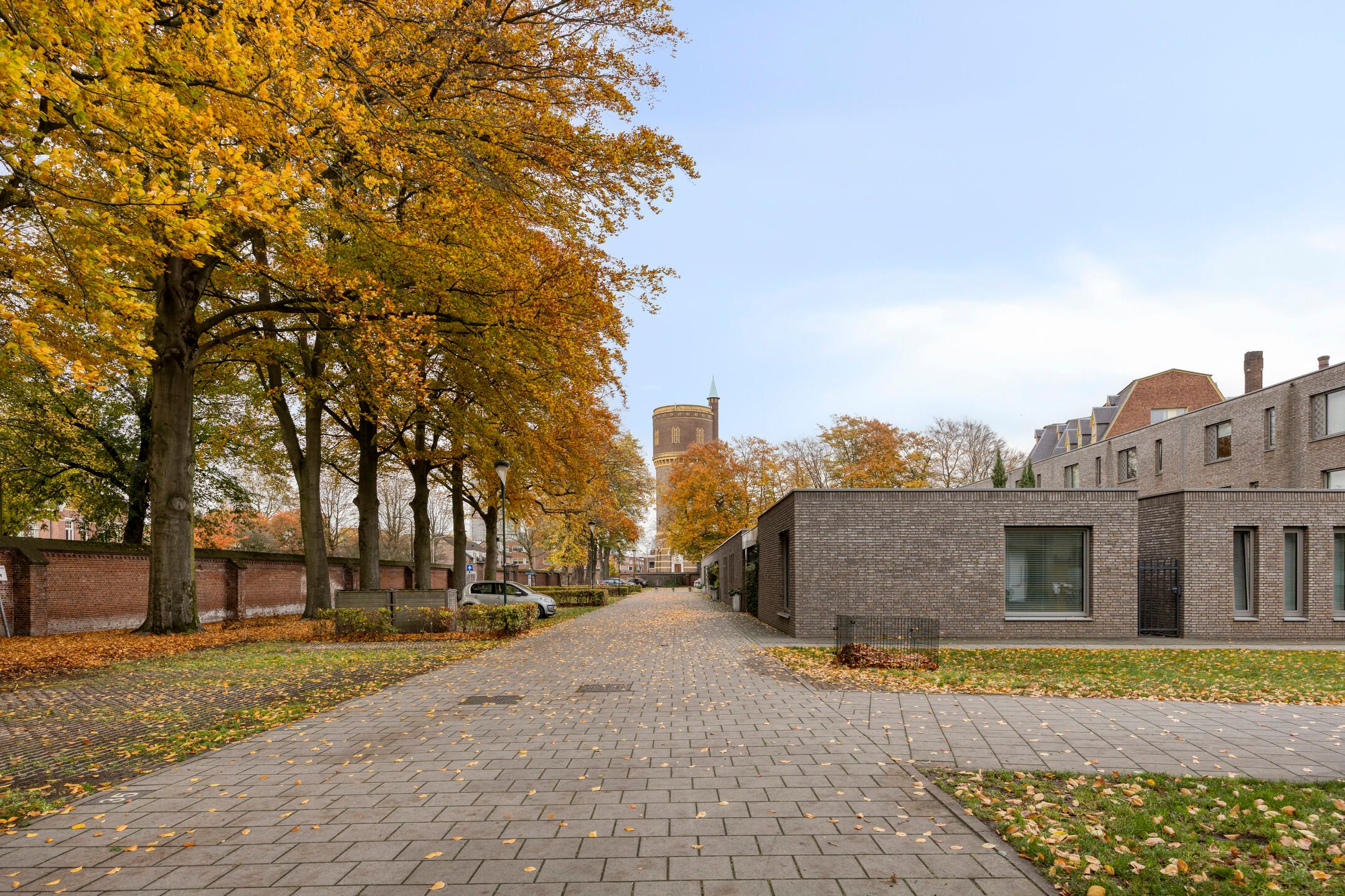 Foto 54 van Rooi Hartenpark 43