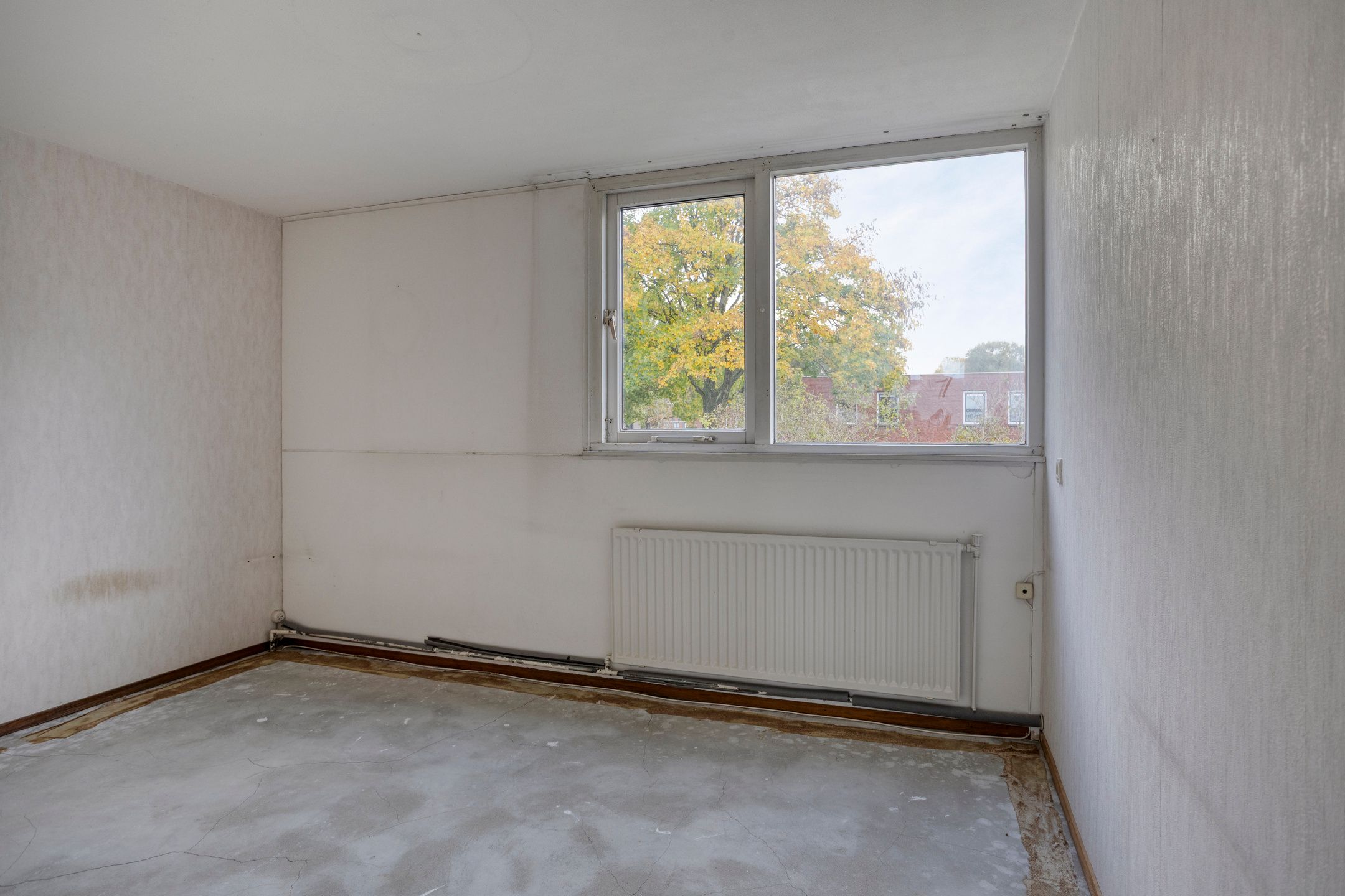 Foto 21 van Laan van het Kwekebos 239