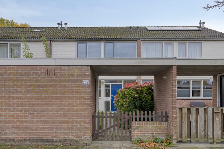 Foto 34 van Laan van het Kwekebos 239