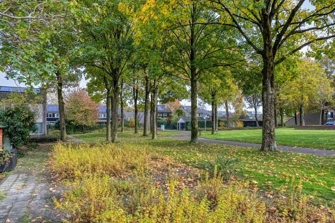 Foto 37 van Laan van het Kwekebos 239