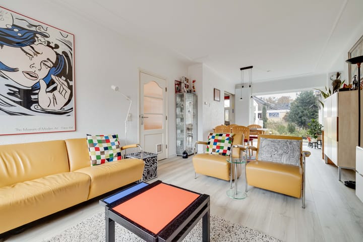 Schopenhauerstraat 103