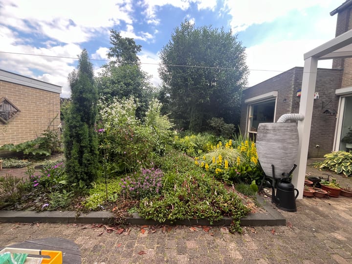 Foto 33 van Schopenhauerstraat 103