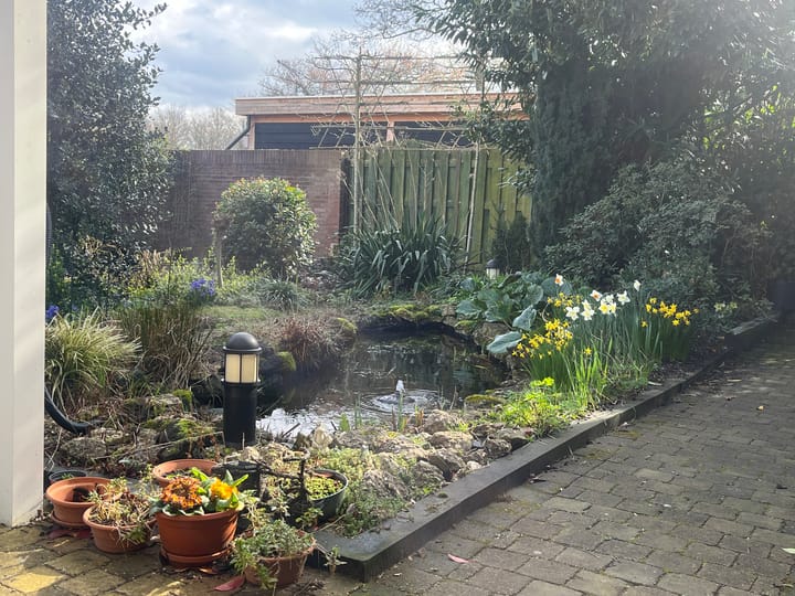 Foto 34 van Schopenhauerstraat 103