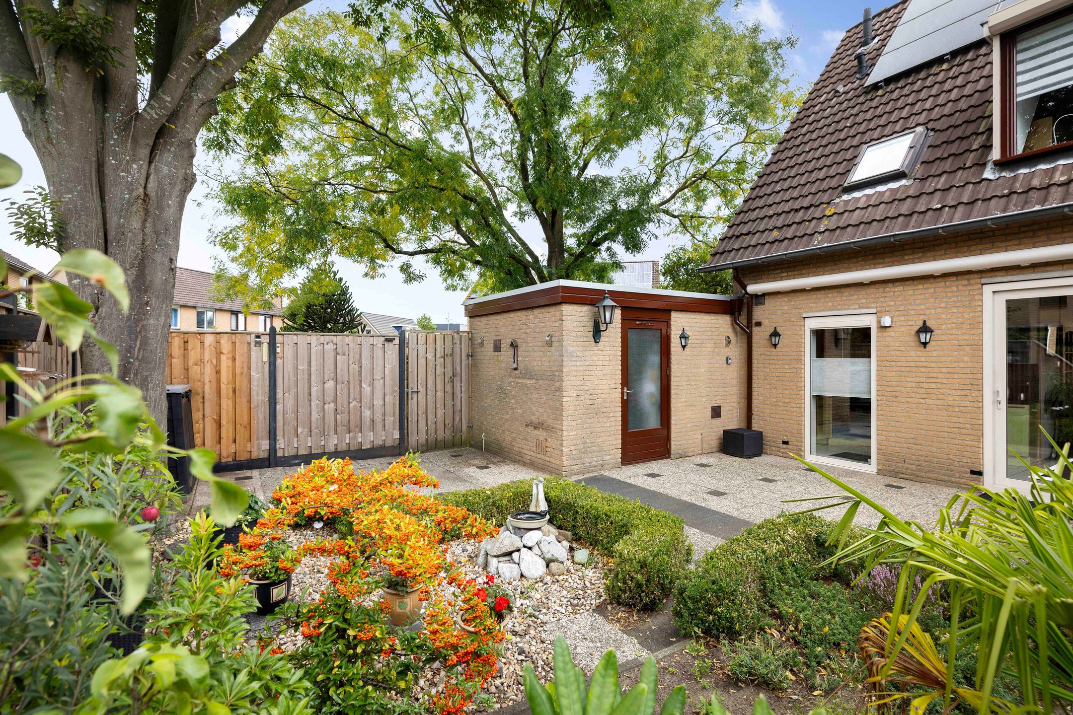 Foto 3 van Sleutelbloem 21