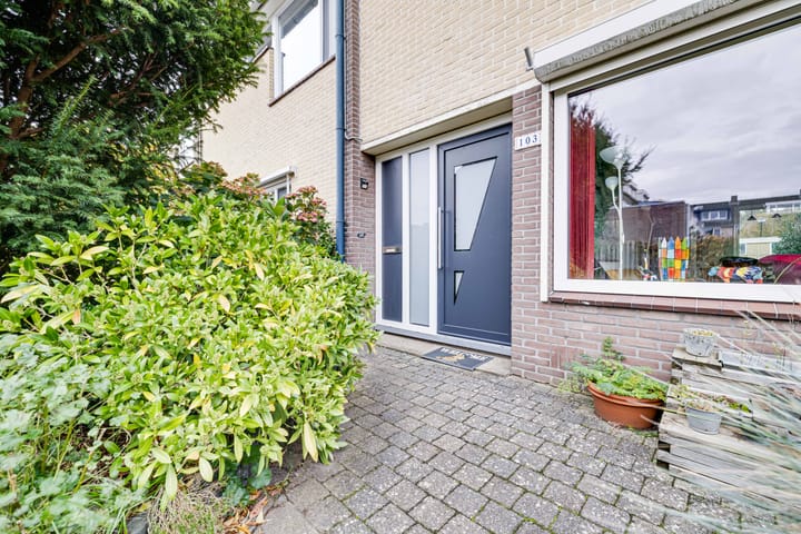 Foto 43 van Schopenhauerstraat 103