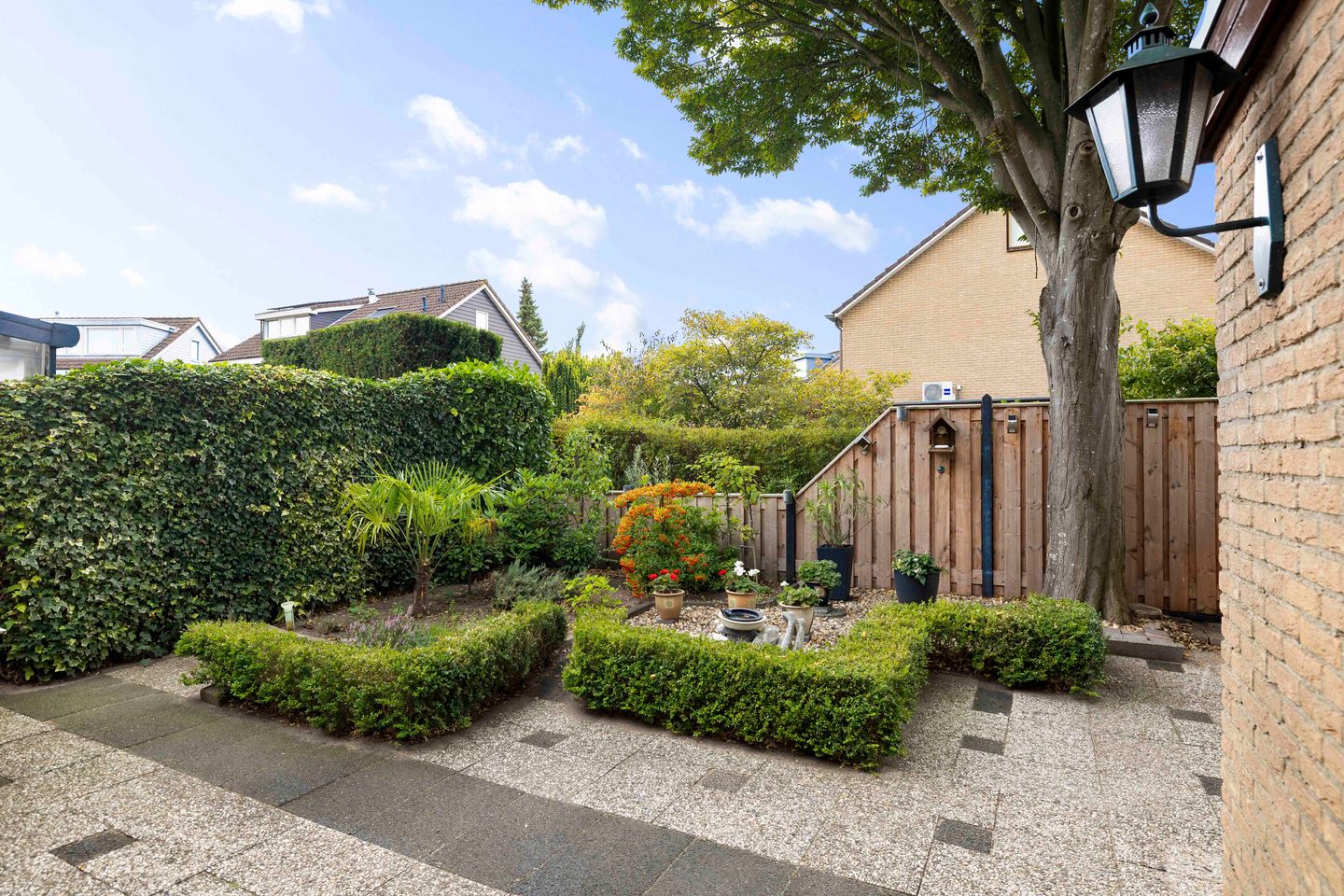 Foto 14 van Sleutelbloem 21