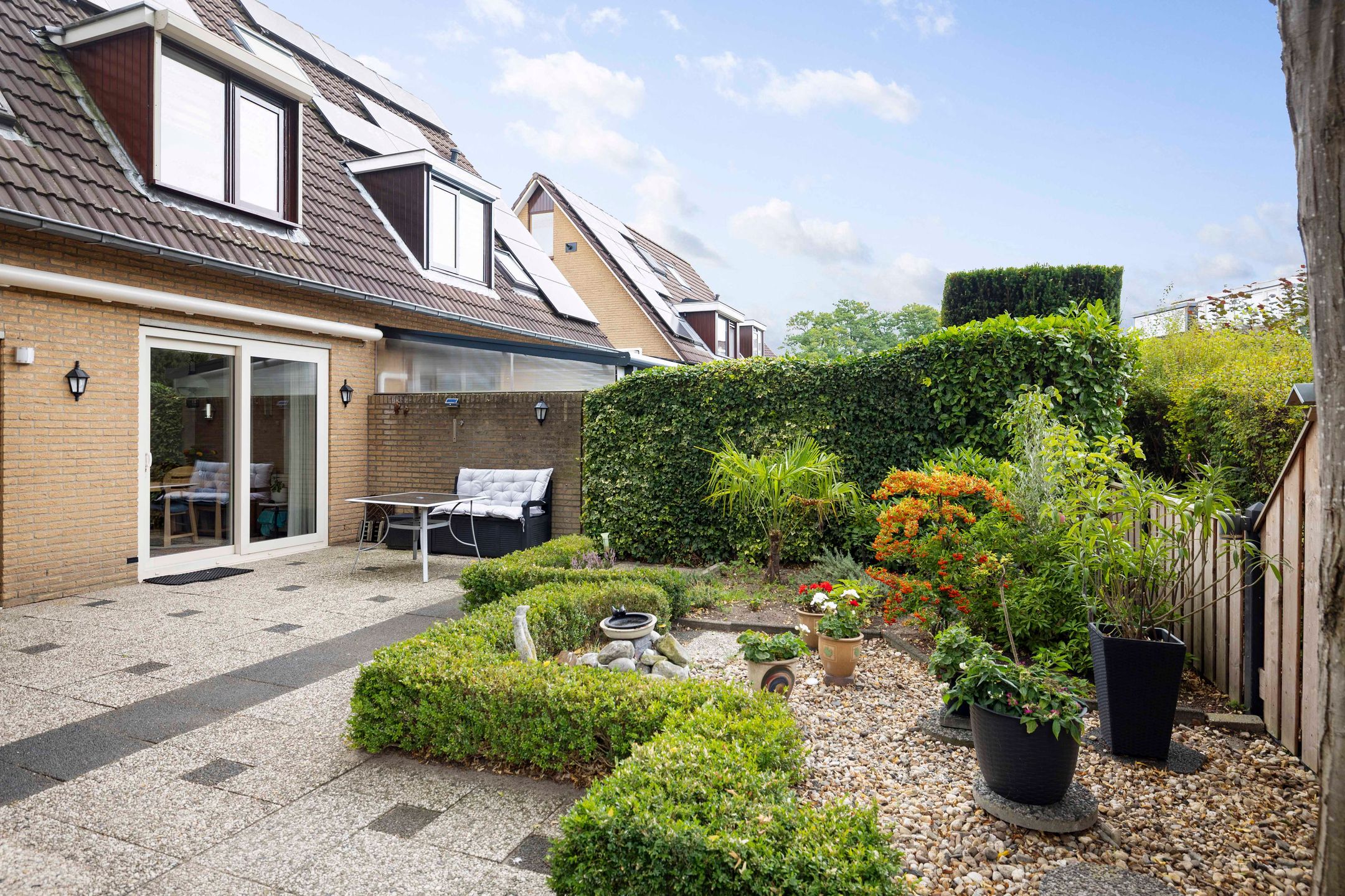 Foto 15 van Sleutelbloem 21