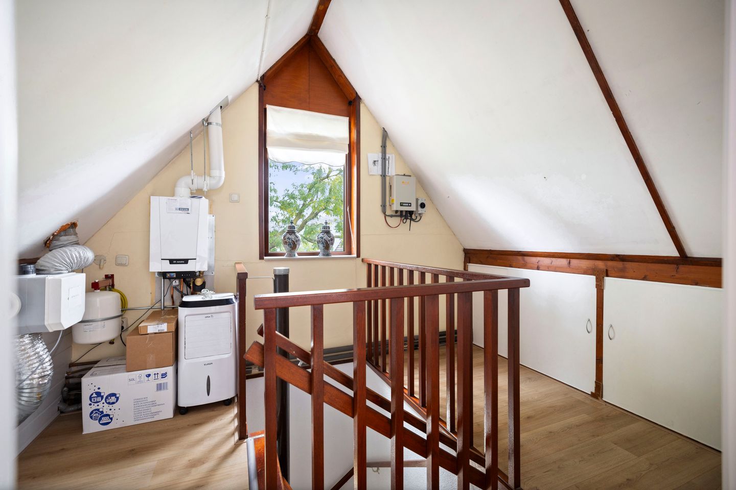 Foto 25 van Sleutelbloem 21