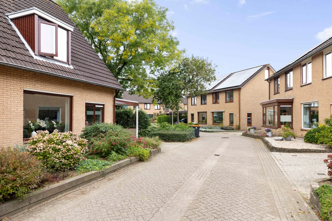 Foto 28 van Sleutelbloem 21