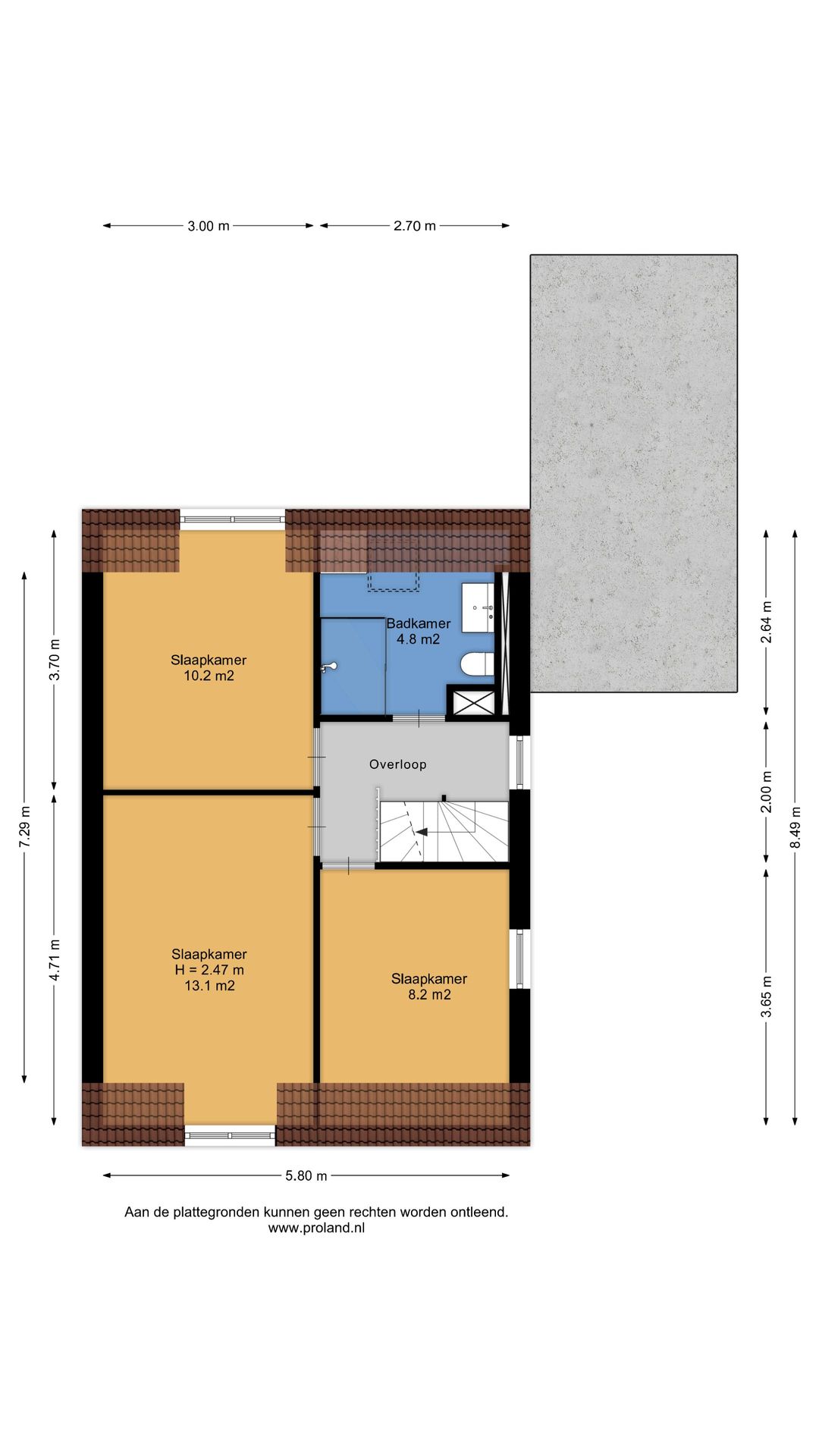 Foto 31 van Sleutelbloem 21