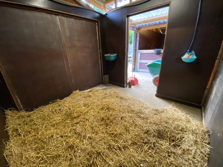 Photo 36 of Bijsterbosweg 5-A