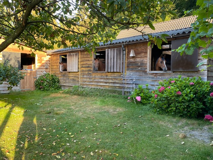 Photo 37 of Bijsterbosweg 5-A