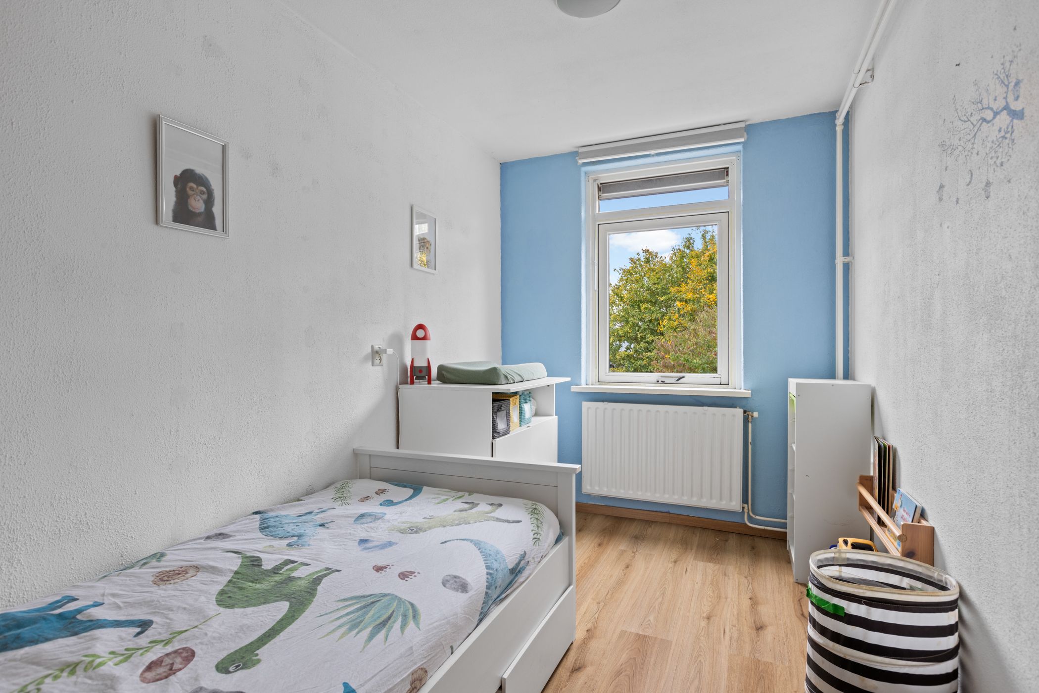 Foto 21 van Stormmeeuw 4