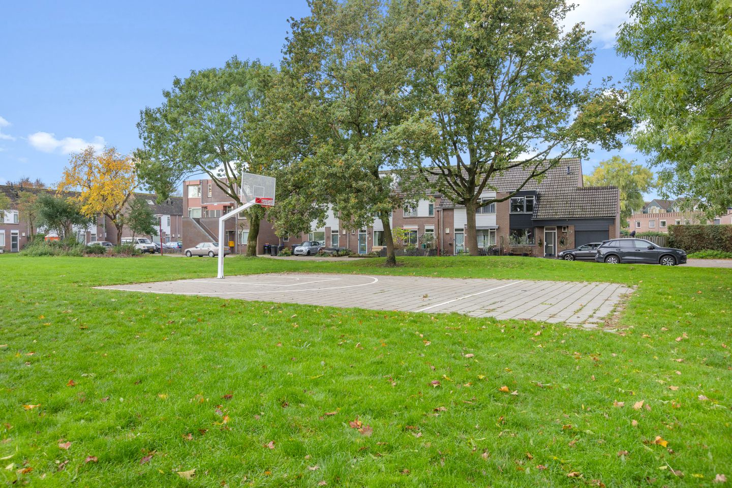 Foto 34 van Stormmeeuw 4