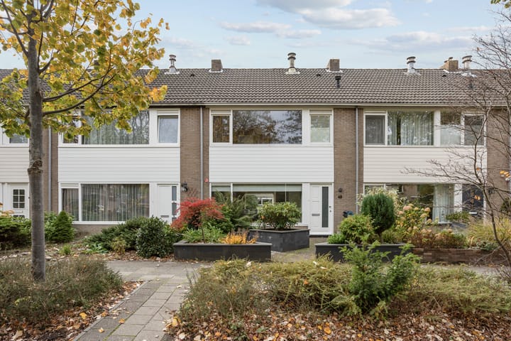 Foto 31 van Guldeland 95