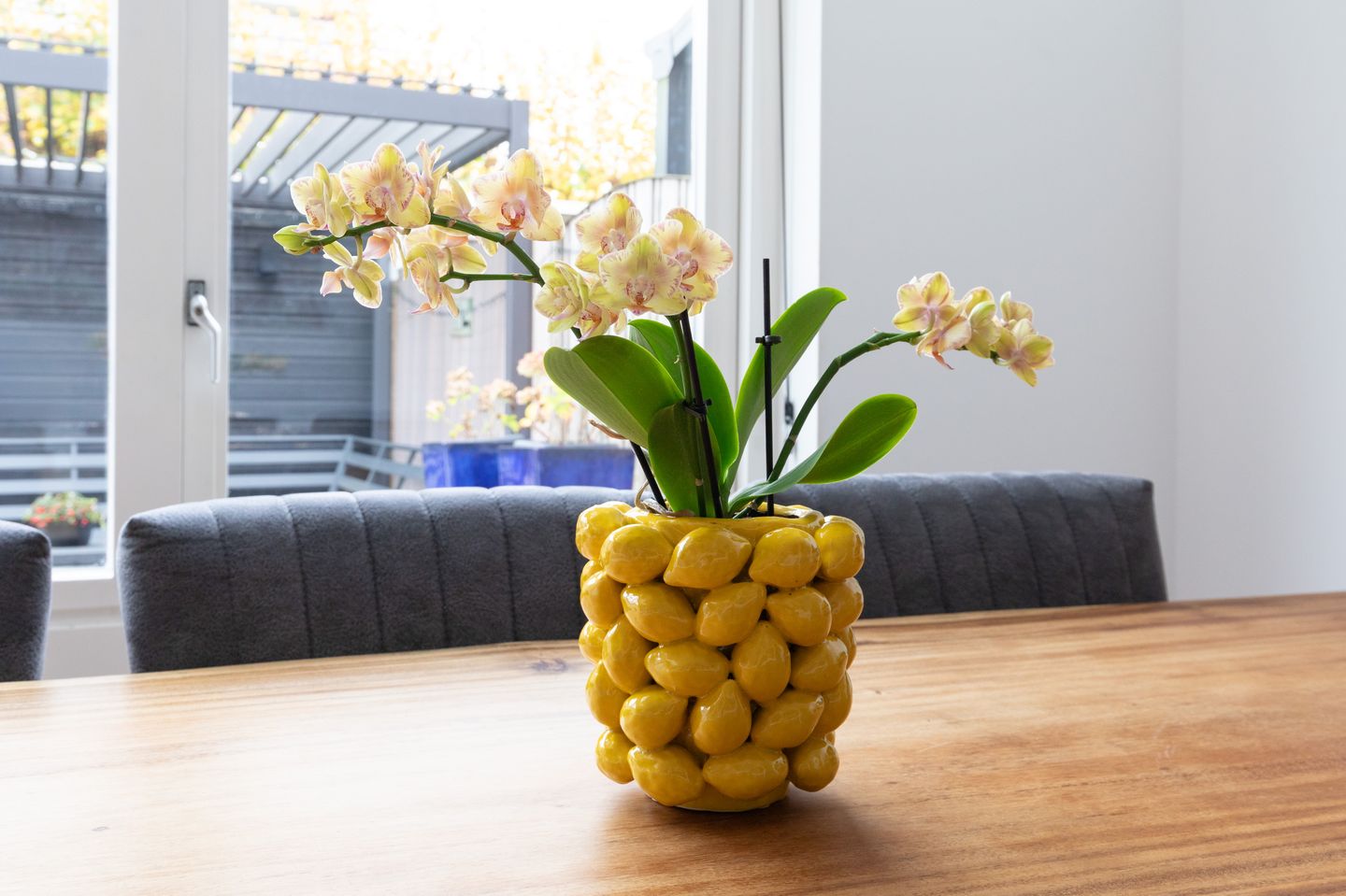 Foto 14 van Galjoen 4