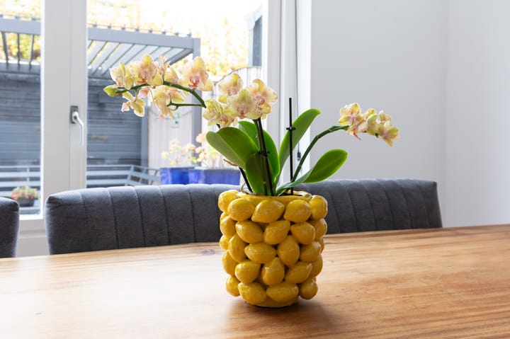 Foto 14 van Galjoen 4