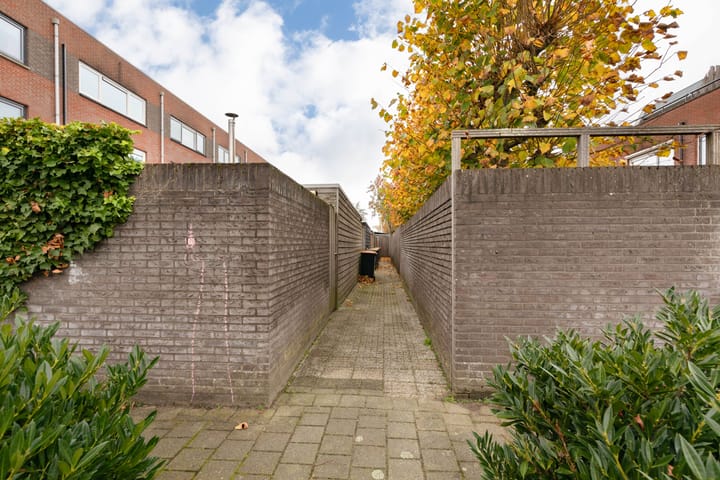 Foto 40 van Galjoen 4