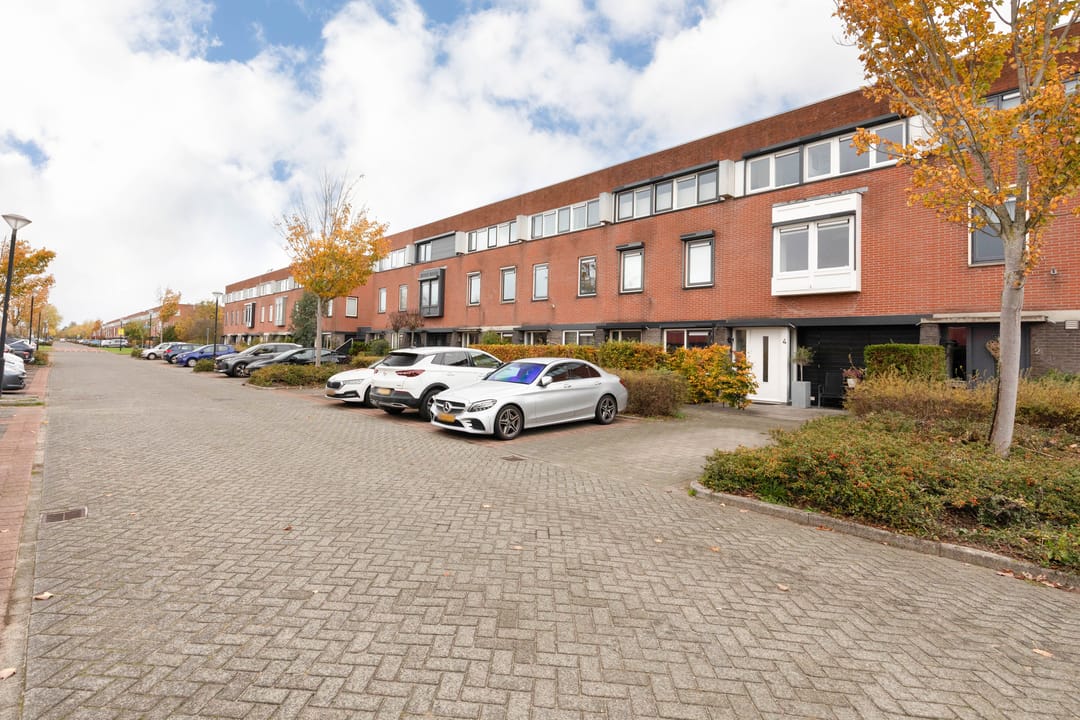 Foto 41 van Galjoen 4