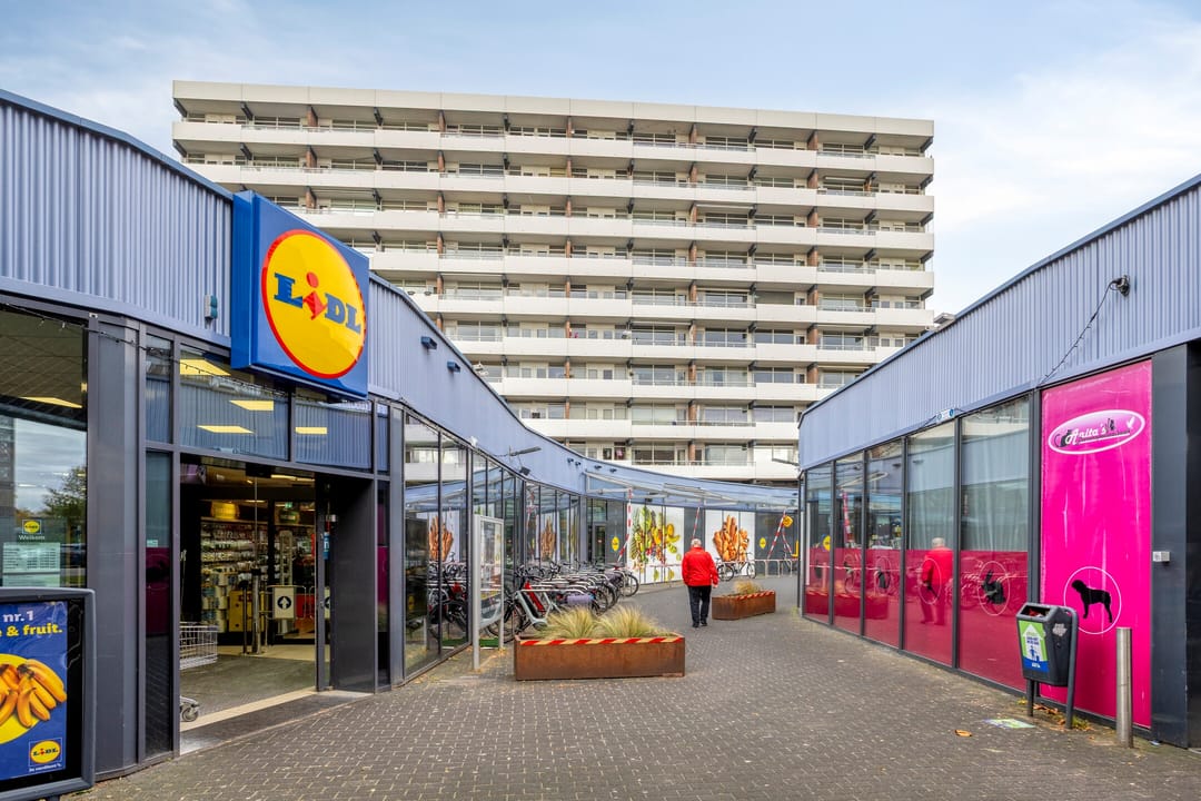 Foto 41 van Houtweg 179