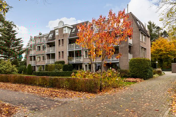 Foto 4 van Loolaan 524