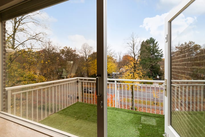 Foto 10 van Loolaan 524