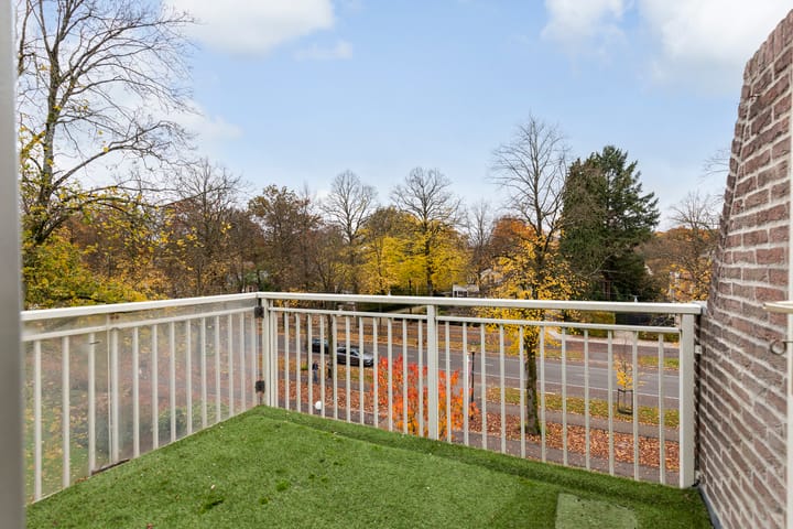 Foto 11 van Loolaan 524