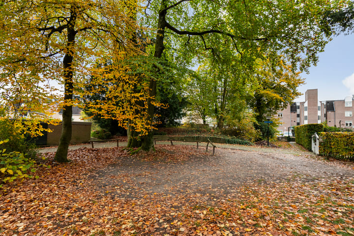 Foto 29 van Loolaan 524