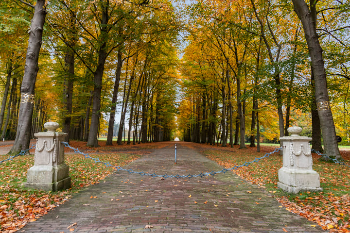 Foto 34 van Loolaan 524